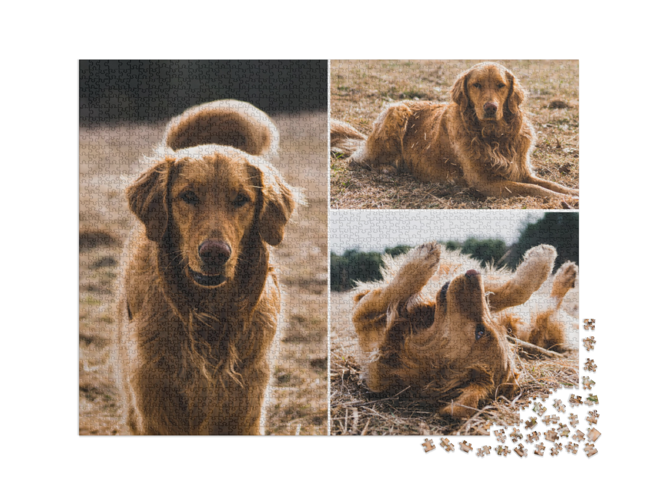 puzzle-2000-usa-2021||pieces
