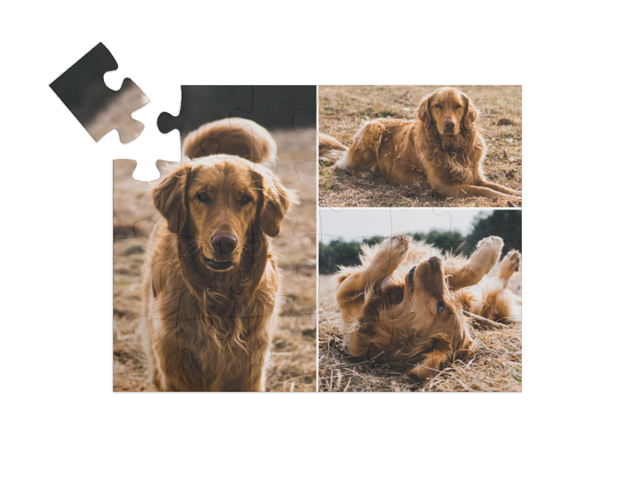 puzzle-24-2020||pieces
