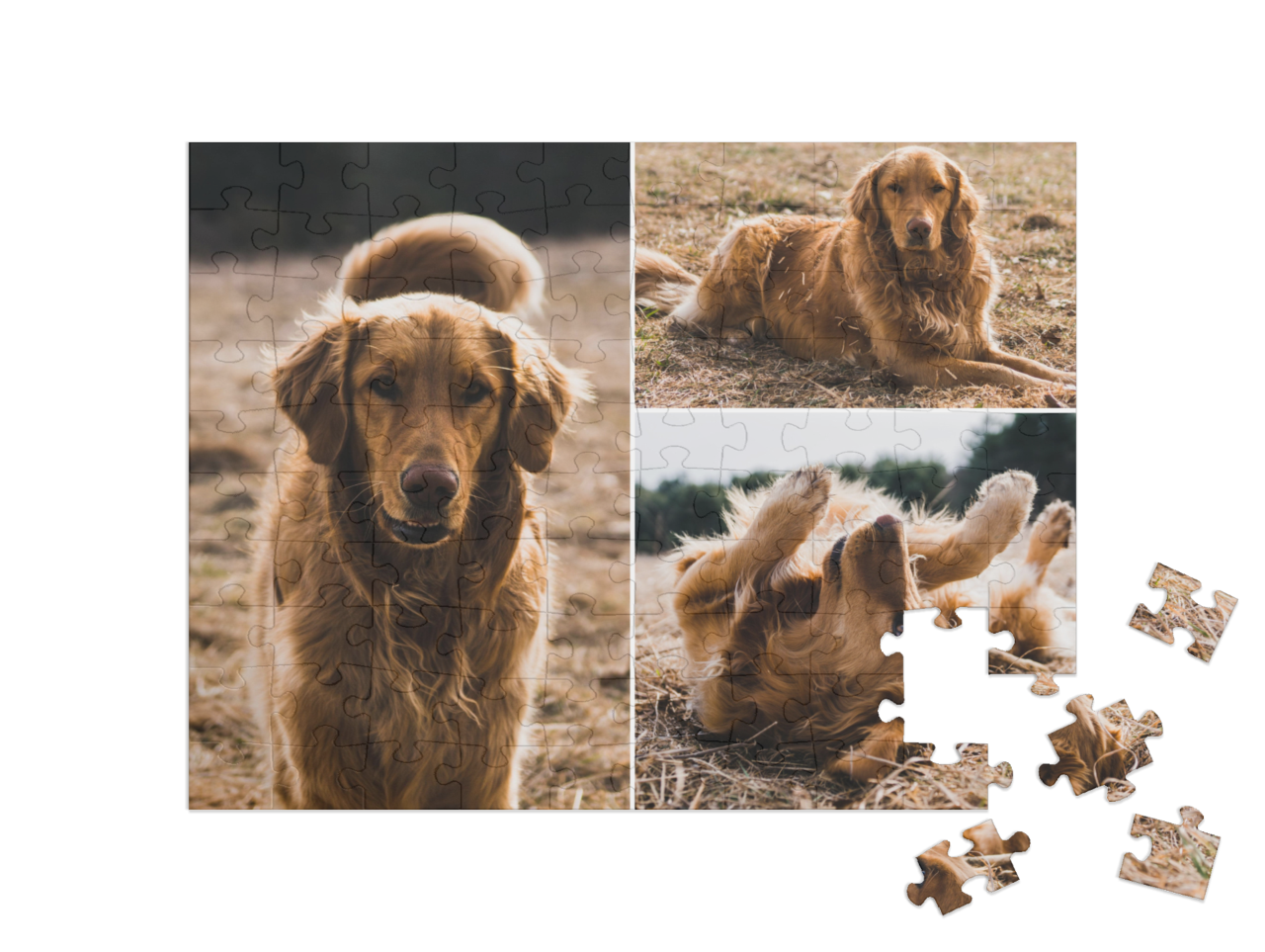 puzzle-100||pieces