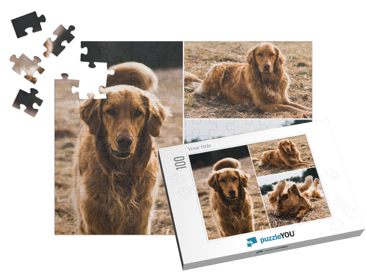 puzzle-100||pieces-with-box