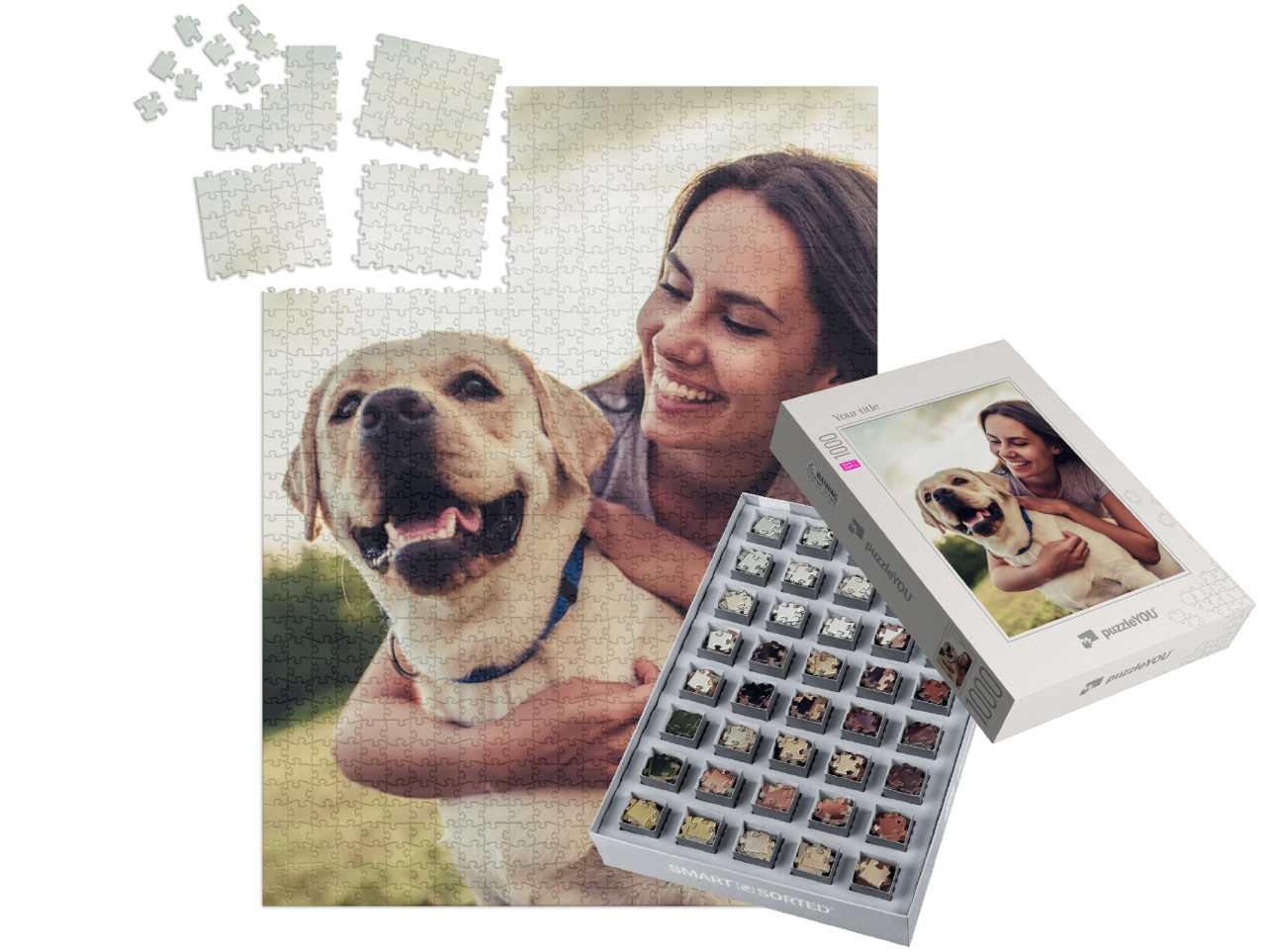 smart-sorted-puzzle-1000||pieces-with-box