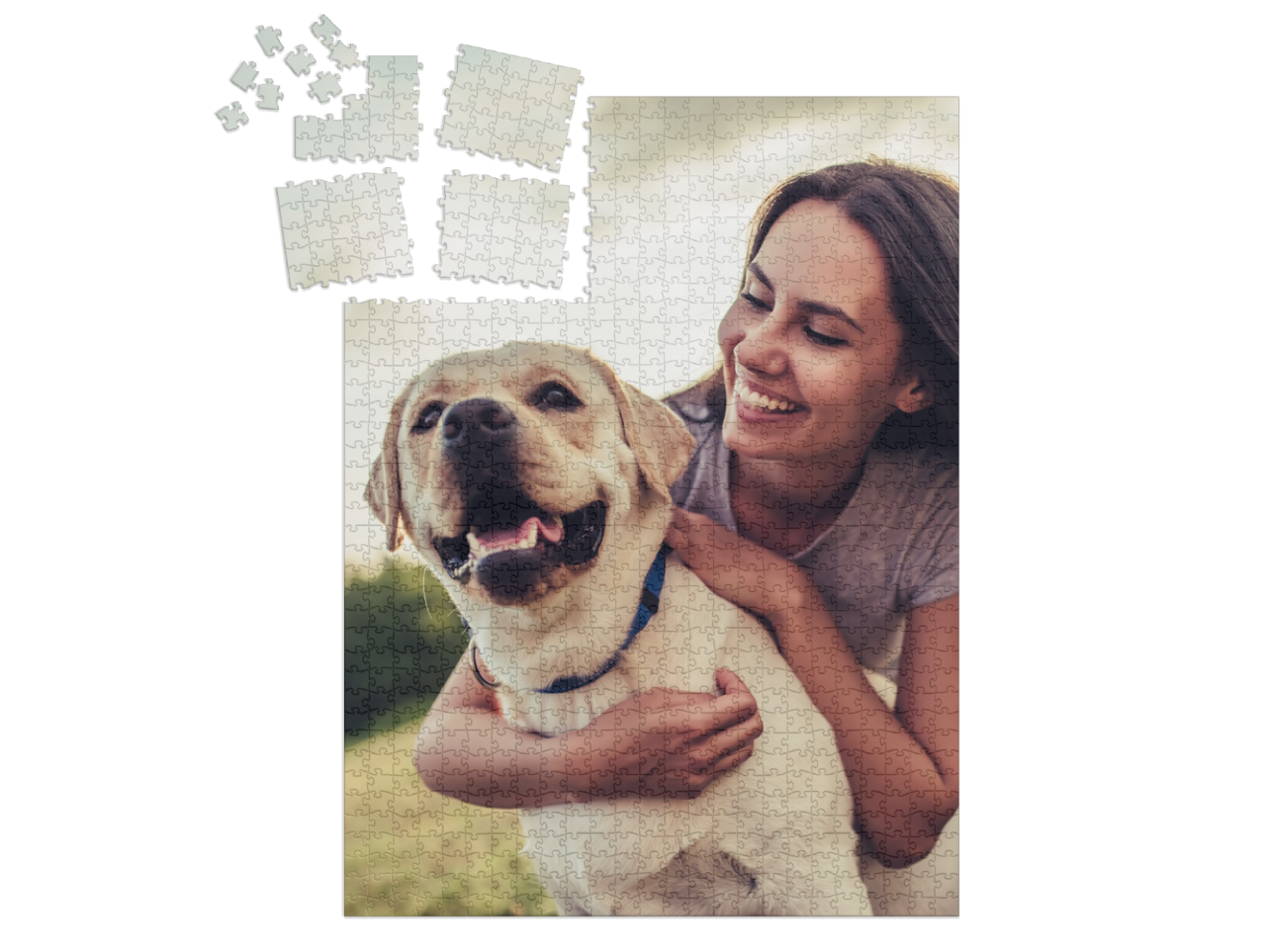 smart-sorted-puzzle-1000||pieces