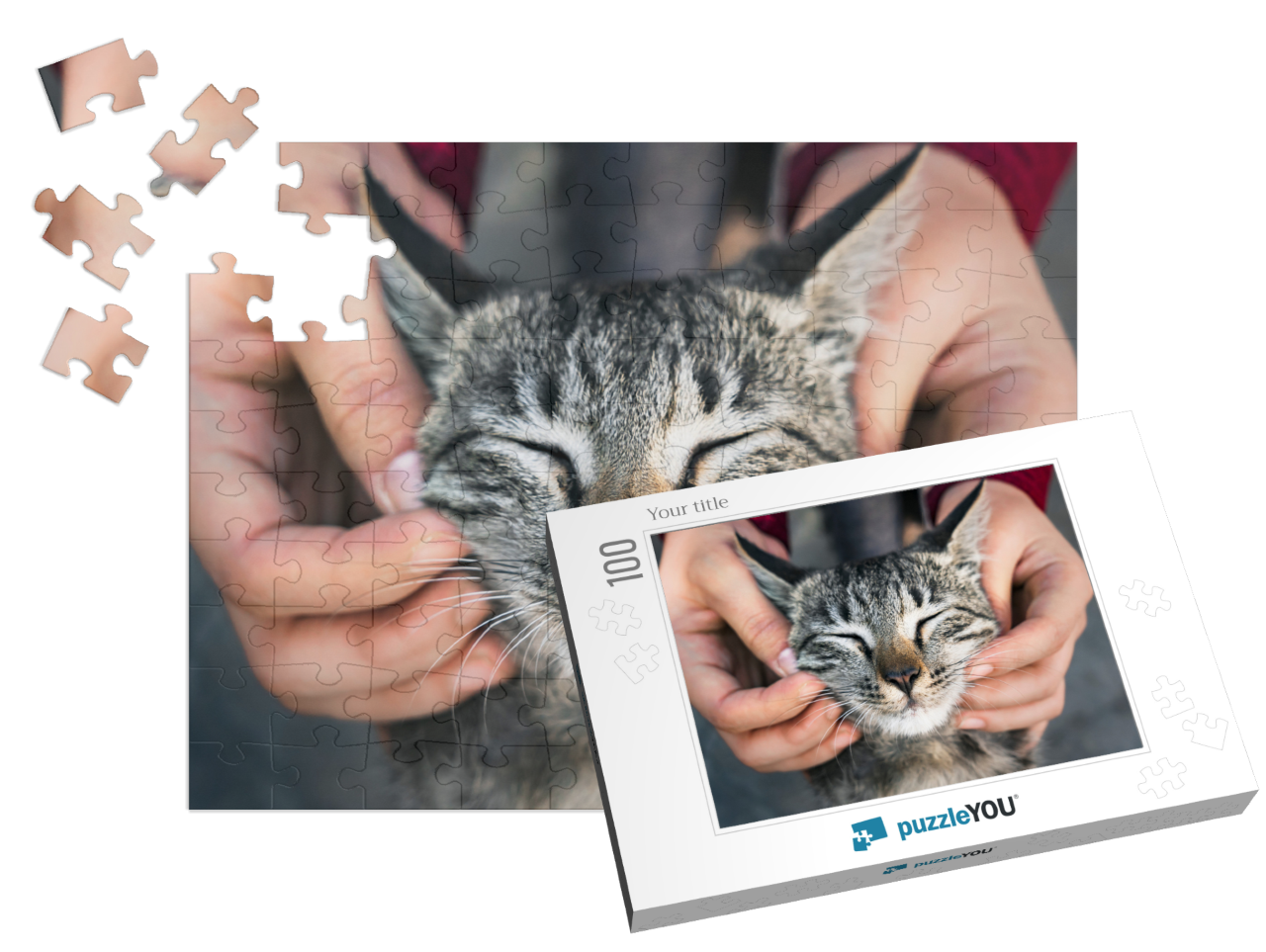 puzzle-100||pieces-with-box