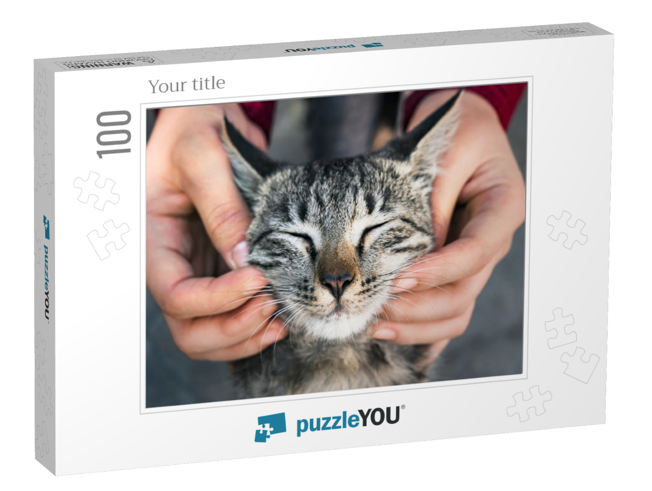 puzzle-100||box