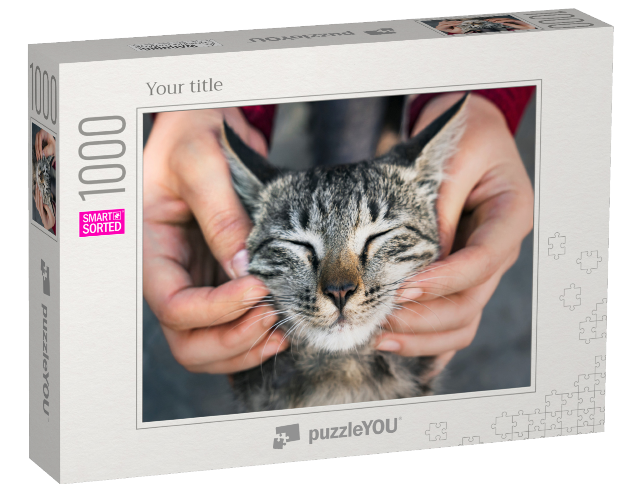 smart-sorted-puzzle-1000||box
