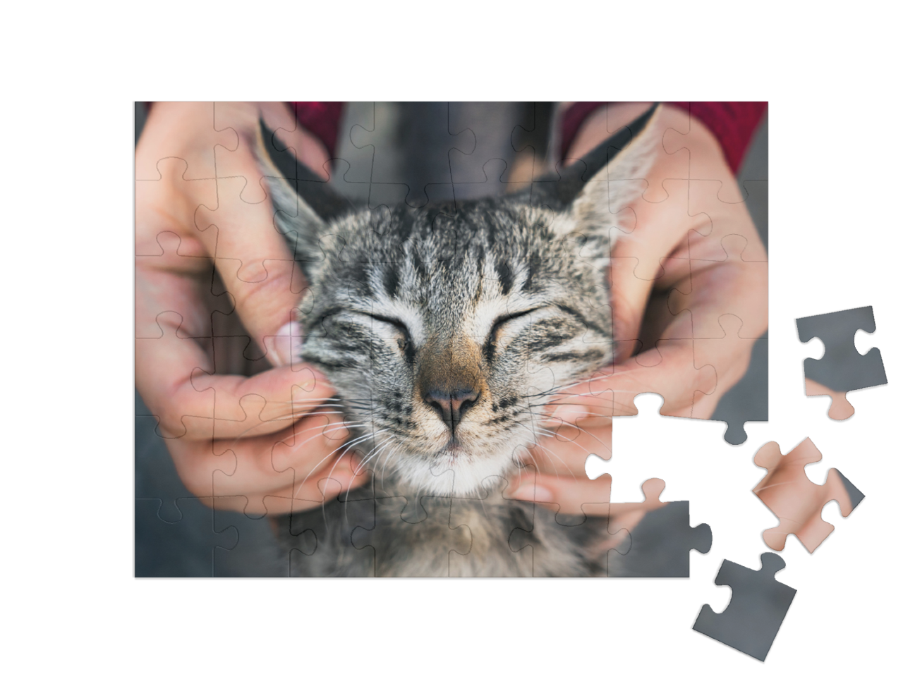 puzzle-48||pieces