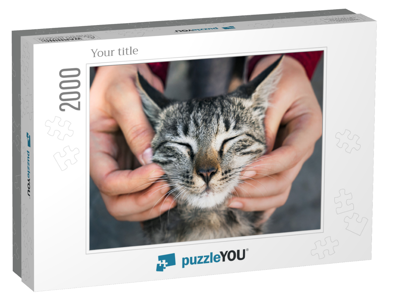 puzzle-2000-usa-2021||box