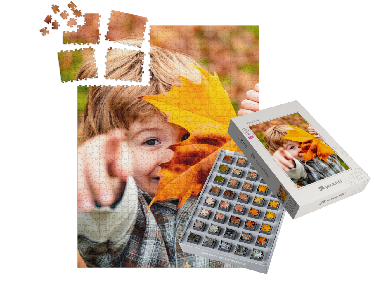smart-sorted-puzzle-1000||pieces-with-box