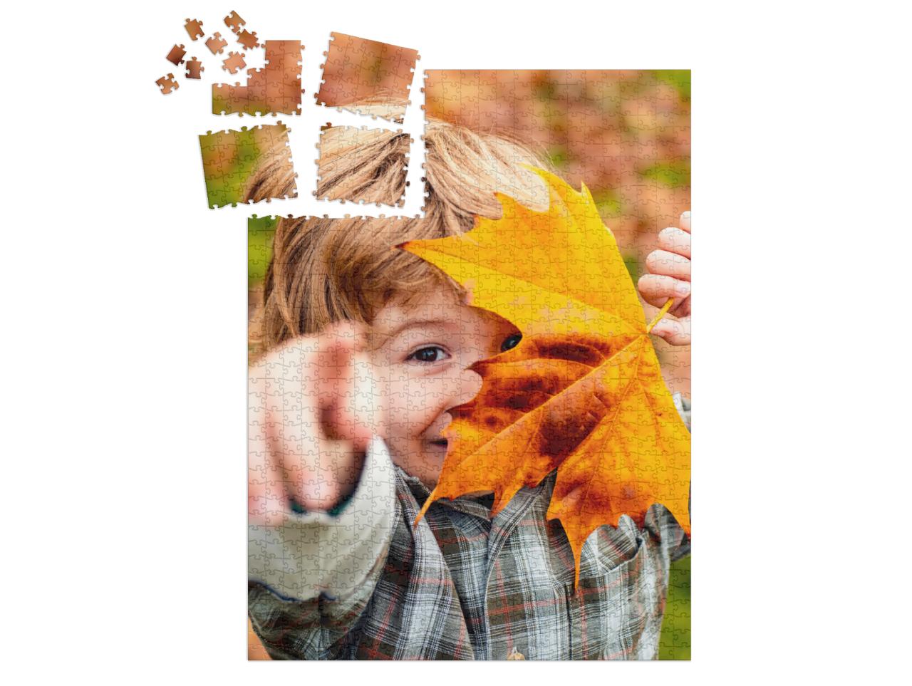 smart-sorted-puzzle-1000||pieces