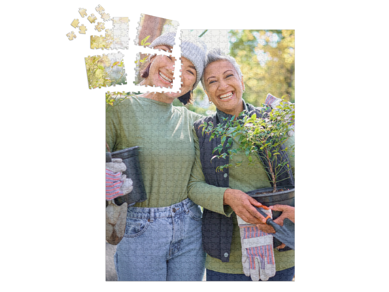 smart-sorted-puzzle-1000||pieces