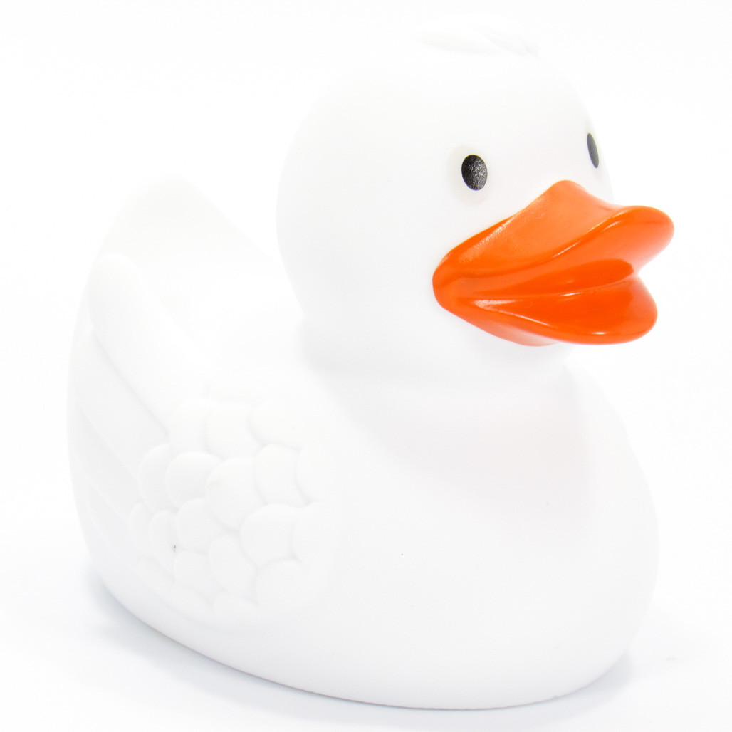white rubber duck