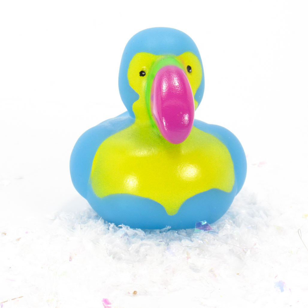 Toucan Small Rubber Duck Gift Bundle | Ducks in the Window