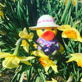 Happy Mother's Day Rubber Duck | Ducks in the Window