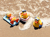  Endless Summer Duckies