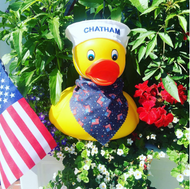 ​HAPPY 4th of July from Ducks in the Window!!!
