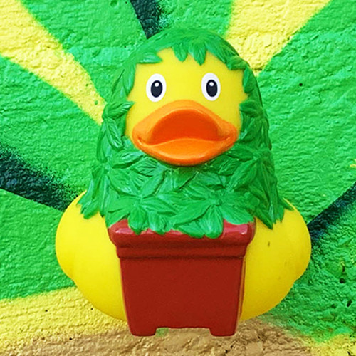 Cannabis Pot Marijuna  Rubber Duck by LILALU bath toy | Ducks in the Window