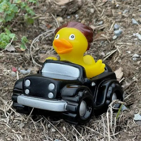 Premium Ducks - Celebriducks - Ducks In The Window®