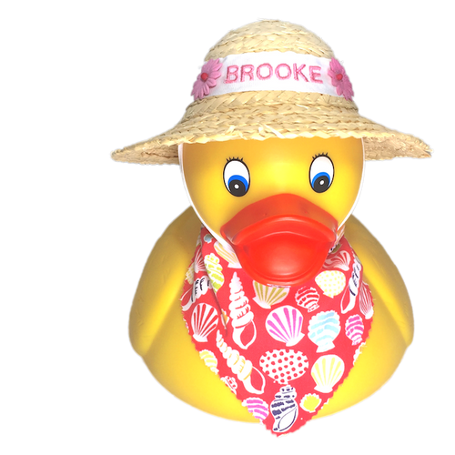 Ducks in the Window  Over 1000 styles of Rubber Ducks to match most any  personality, occupation, or favorite pastime!