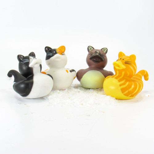 Cats Mini Rubber Duck Bundle Special | Ducks in the Window