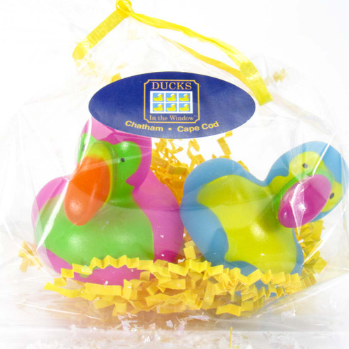 Toucan Small Rubber Duck Gift Bundle Ducks in the Window