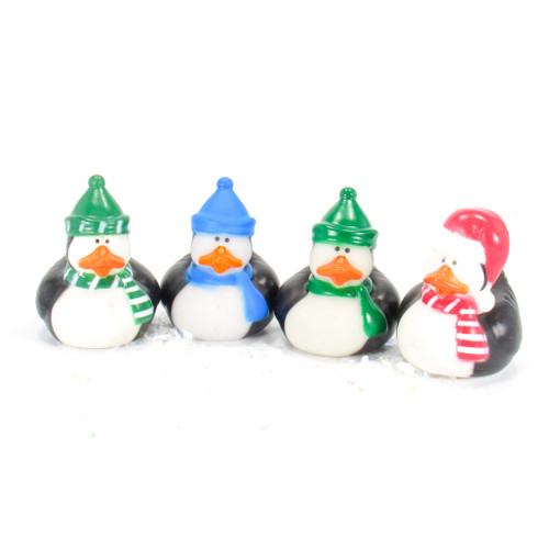 Penguin Gift Bundle Small Rubber Ducks | Ducks in the Window