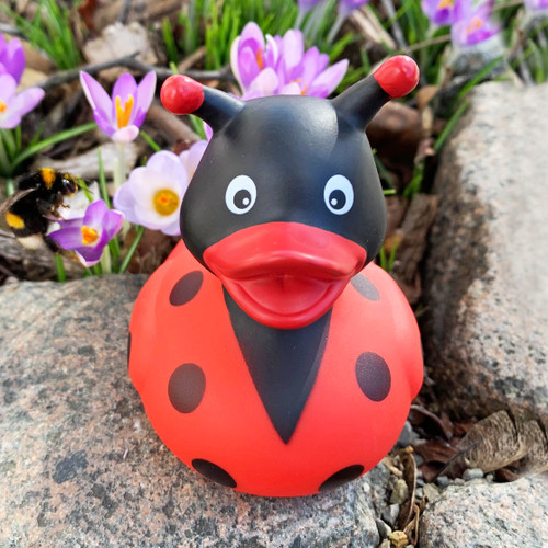 Lady Bug Rubber Duck by LILALU bath toy | Ducks in the Window