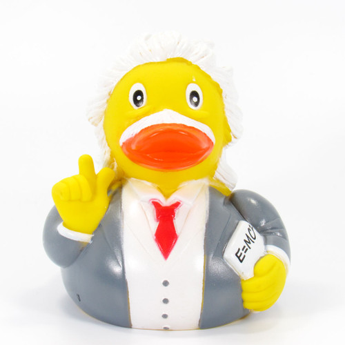 einstein rubber duck