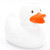 White Rubber Duck by Schnabels  | Ducks in the Window®