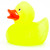 Yellow Glow in the dark Rubber Duck Bath Toy by Schnabels | Ducks in the Window