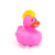 Mohawk Gift Bundle Small Rubber Ducks | Ducks in the Window