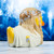 Lord of the Rings Galadriel TUBBZ Cosplaying Rubber Duck Collectibles Bath Toy | Ducks in the Window