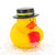 Valentine's  Gift Bundle Small Rubber Ducks | Ducks in the Window