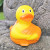 Buddha Rubber Duck by LILALU bath toy | Ducks in the Window