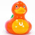 Rainbow Gay Pride Rubber Duck by Bud Duck | Ducks in the Window®