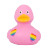 Gay Pride, Heart, Love,  Rubber Duck by LiLaLu | Ducks in the Window