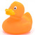 Orange Classic Rubber Duck by Ad Line | Ducks in the Window®