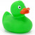 Green Rubber Duck by Ad Line | Ducks in the Window®