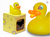 LED Glow (Yellow) Rubber Duck by Locomocean | Ducks in the Window®