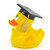 Graduation Diploma Rubber Duck by Lanco 100% Natural Toy & Organic | Ducks in the Window®