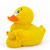 Mommy Mother Baby Rubber Duck by Lanco 100% Natural Toy & Organic | Ducks in the Window®