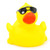 Sunglasses Racer Duck Rubber Duck by Schnabels  | Ducks in the Window®
