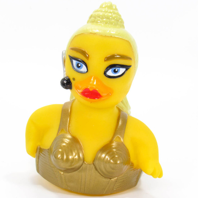 The Queen of Soak Rubber Duck Ducks in the Window