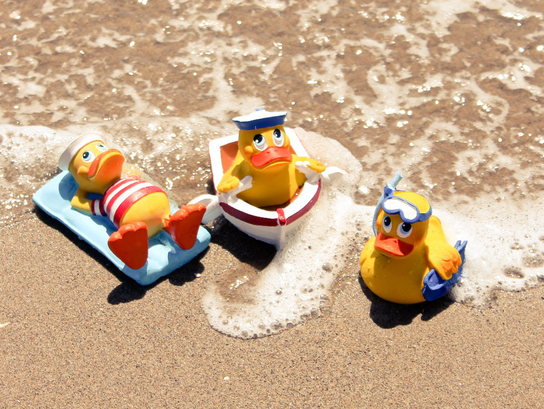 Endless Summer Duckies Ducks In The Window®