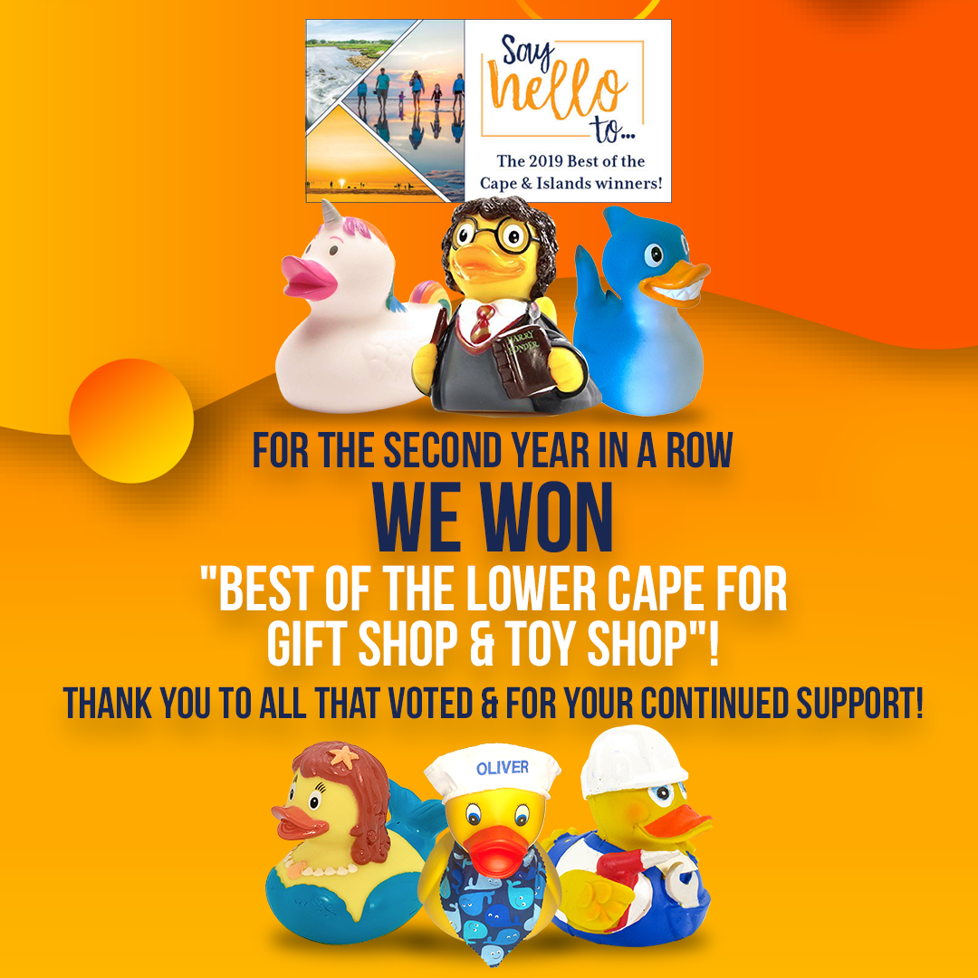 Best Of Cape Cod 2024 Winners List Bobbe Chloris