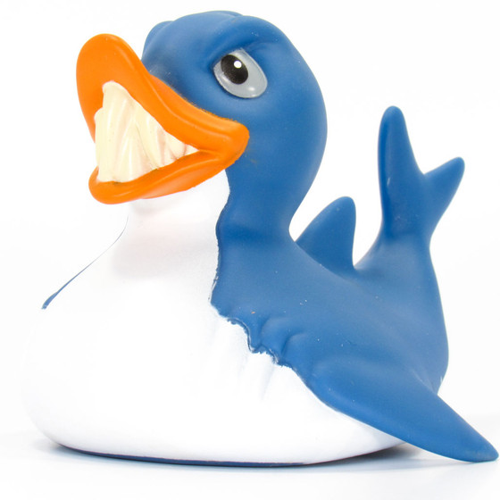 saint bernard dogs for adoption