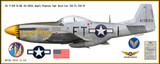 P-51D Mustang "Angels' Playmate" Decorative Aircraft Profile