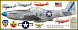P-51D Mustang "Sierra Sue II" Decorative Military Aircraft Profile 