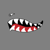 Flying Tigers P-40 Warhawk Shark Mouth Teeth Military Aircraft Nose Art Decal - Includes 2 Mirrored Decals (SM-09)