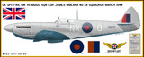 Spitfire Mk VII MD120 "Spirt of Kent" - Aircraft Profile Wall Decal