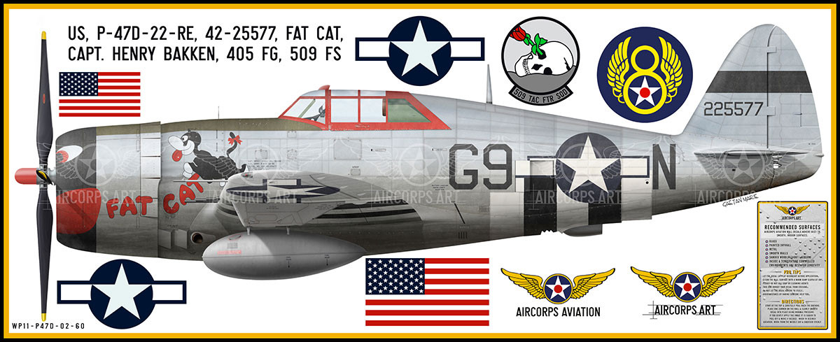 P-47D Thunderbolt 